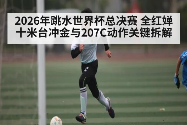 2026年跳水世界杯总决赛 全红婵十米台冲金与207C动作关键拆解
