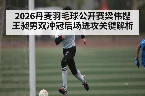 2026丹麦羽毛球公开赛梁伟铿王昶男双冲冠后场进攻关键解析
